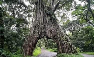 arusha national park
