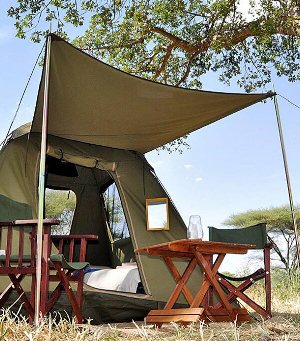 Camping_Safaris_Adventure