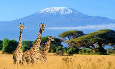 Kilimanjaro National Park