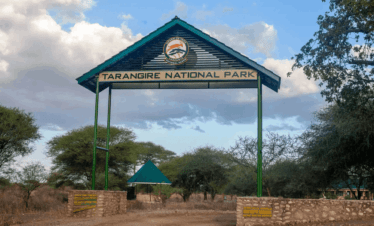 Tarangire Park 374x226