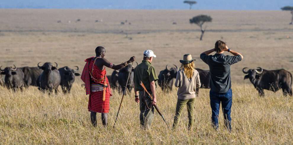 Walking Safari 990x490