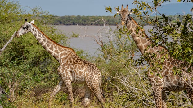 Arusha cultural day tours