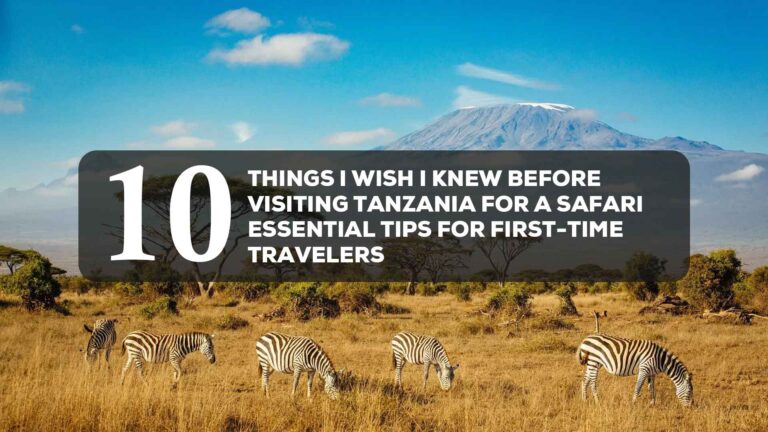 10 things i wish i knew before visiting tanzania for a safari essential tips for first time travelers