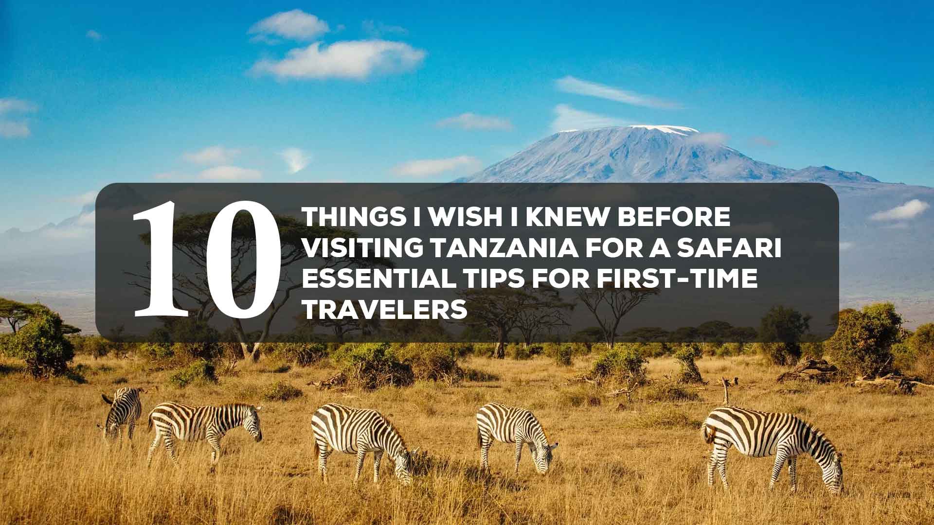 10 things i wish i knew before visiting tanzania for a safari essential tips for first time travelers
