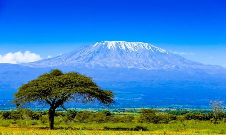 13-Day Safari Tour & Mt Kilimanjaro