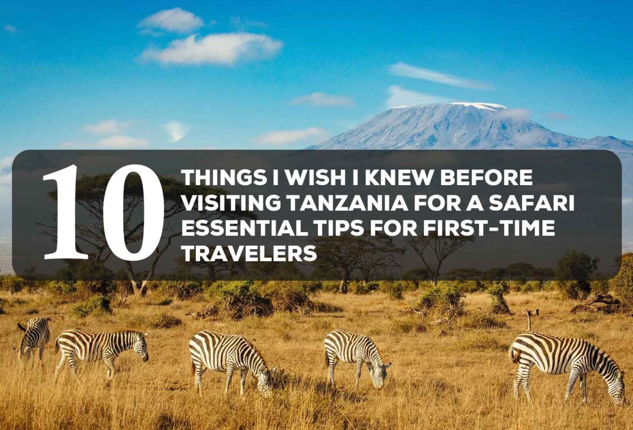 10 things i wish i knew before visiting tanzania for a safari essential tips for first time travelers