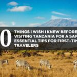 10 things i wish i knew before visiting tanzania for a safari essential tips for first time travelers