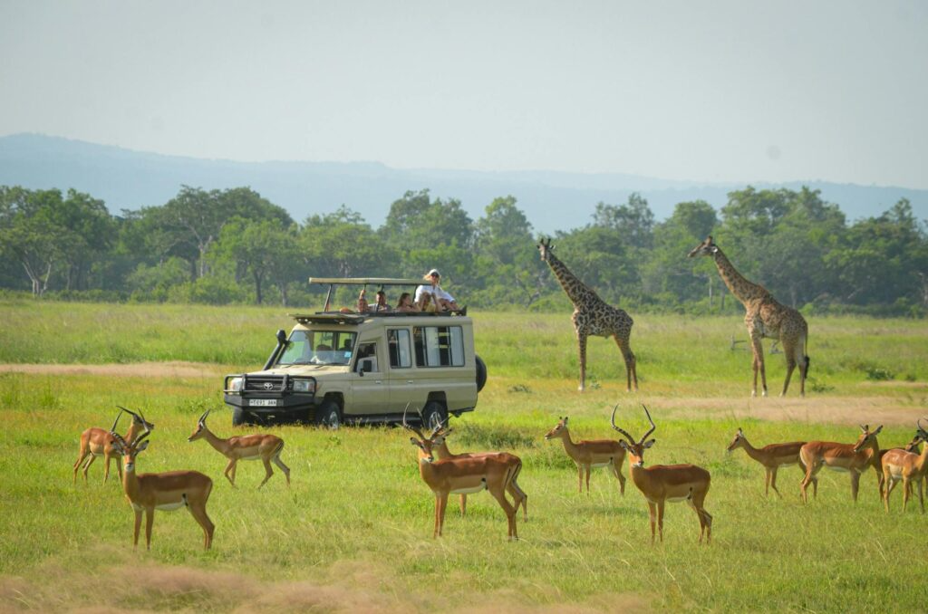 5-Day Nyerere & Mikumi Safari from Dar es Salaam