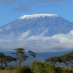 Snow-capped Mount Kilimanjaro rising above Tanzanian savanna at sunrise