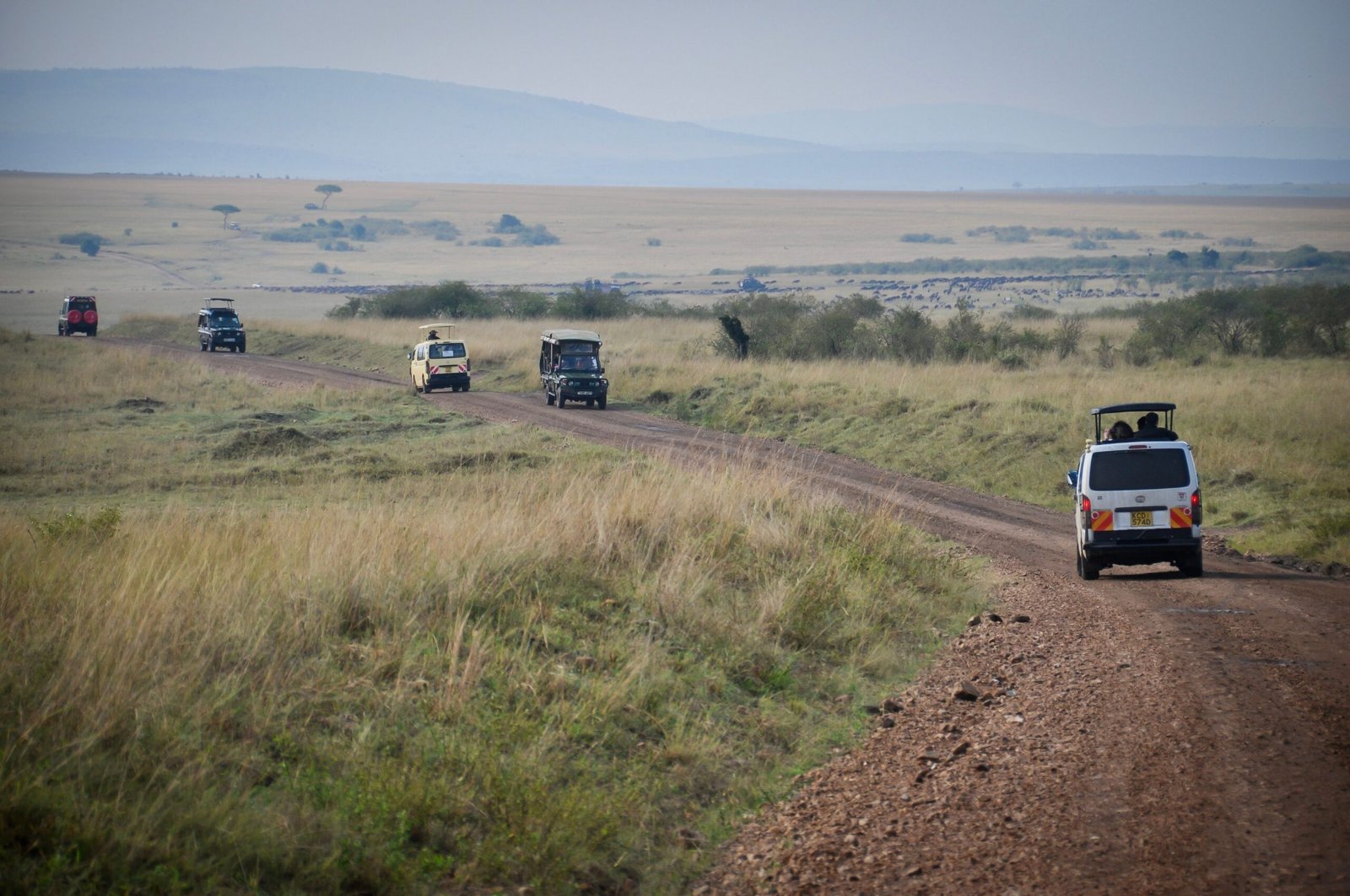 Safari vehicles on game drive in Serengeti Tanzania