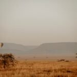 Hot air balloons over Serengeti landscape at sunrise for a Tanzania honeymoon safari