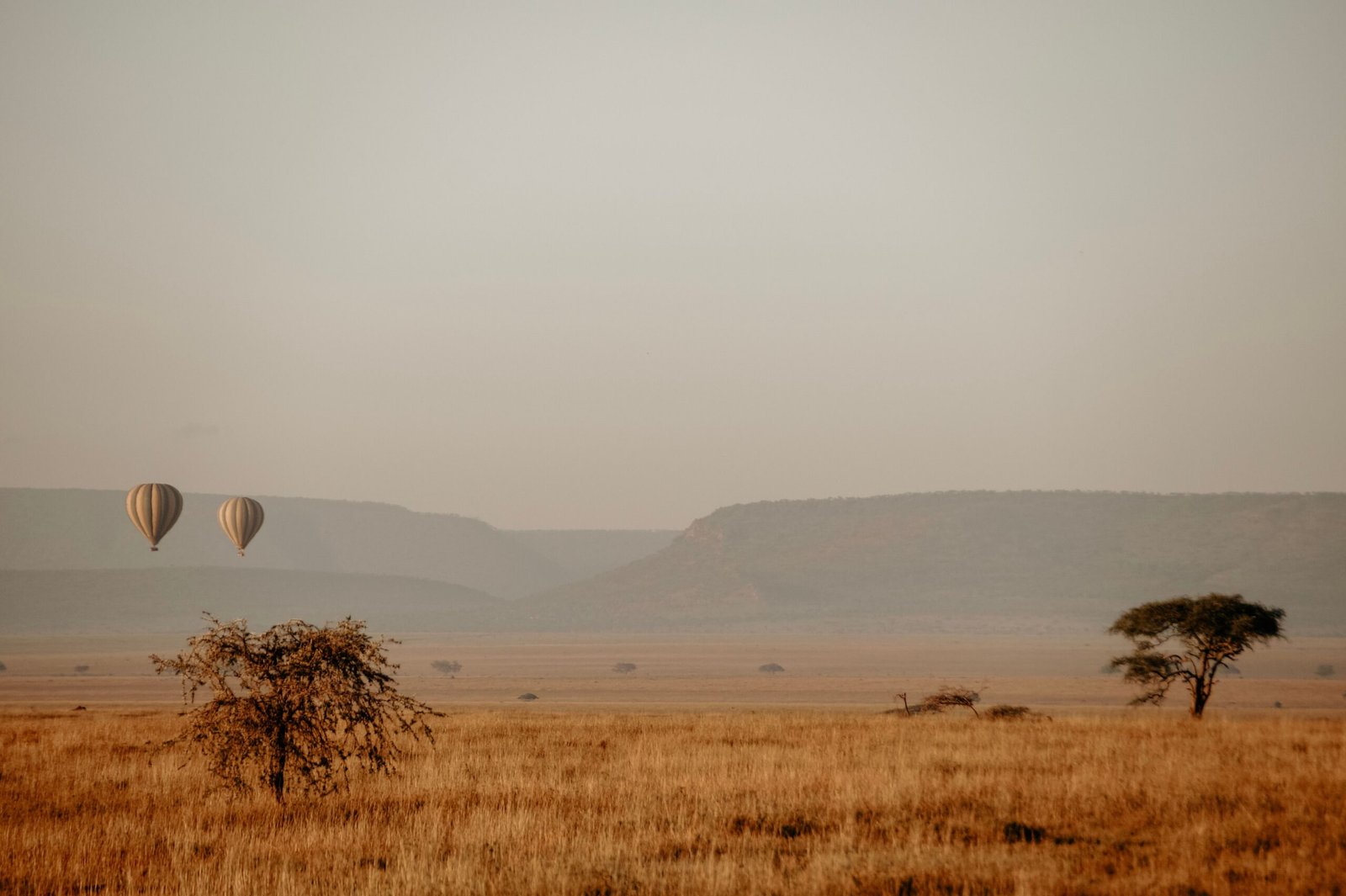 Hot air balloons over Serengeti landscape at sunrise for a Tanzania honeymoon safari