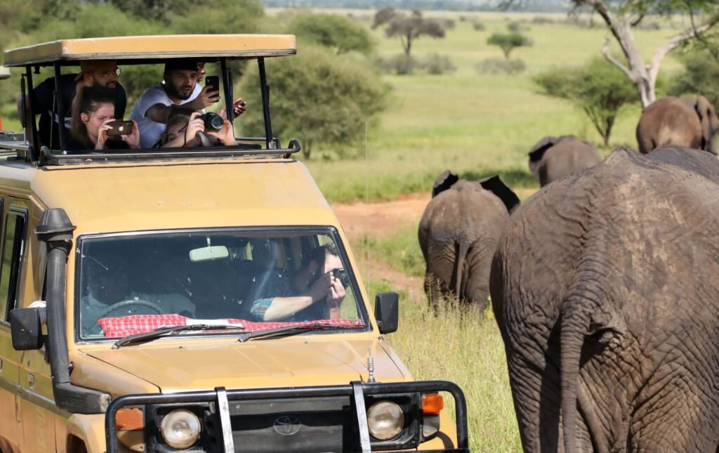 Safari travelers photographing elephants on a Tanzania game drive